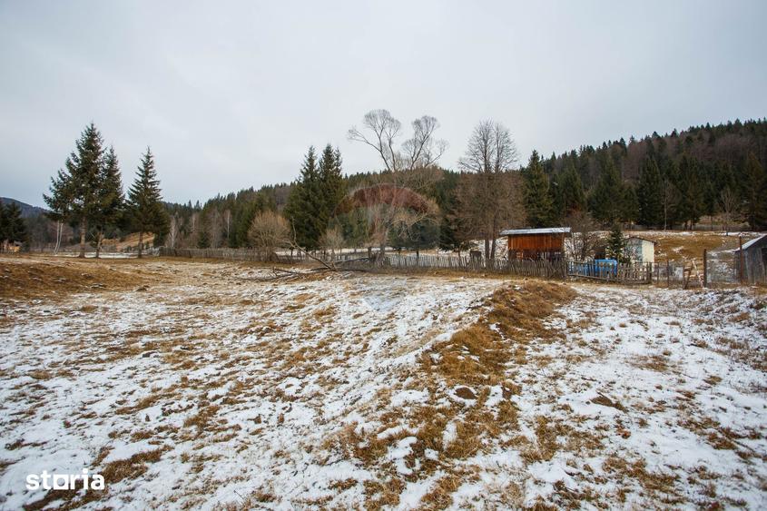 Teren de 49000 mp, în Borca
