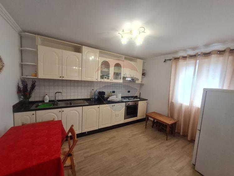 Casa cu 5 camere de vanzare (P+M) in comuna Bolotesti - 5