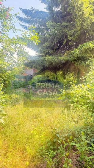 Casă cu 3 camere cu Teren 385 Mp în Orașul Vechi