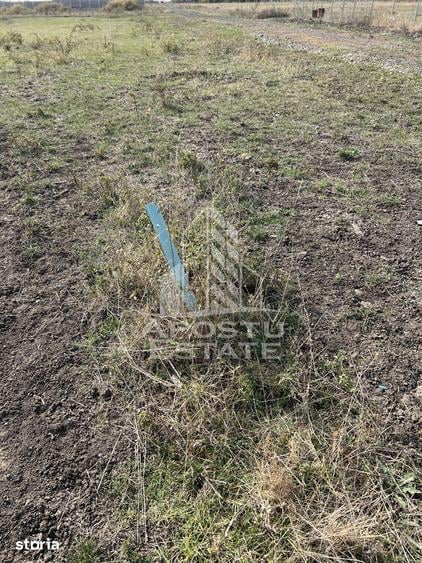 DE VANZARE Teren 758 mp, zona Metro 2 cu potential excelent de dez - 1