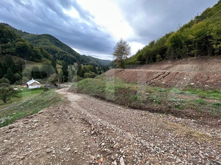 Teren Construcții intravilan de 12000 mp, în Nord-Vest