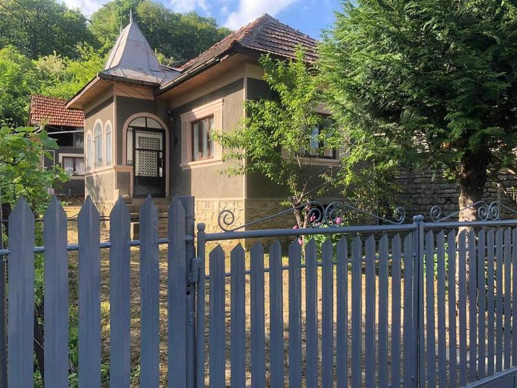 Casa rustica in Bezdead - 8