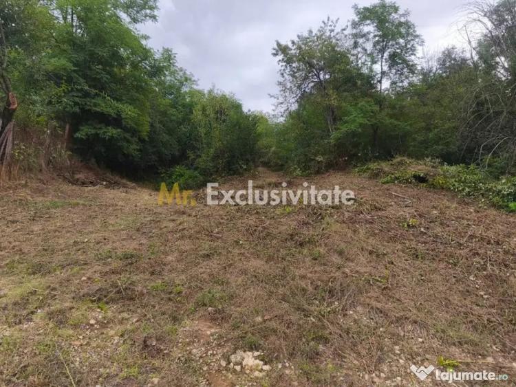 Teren 2552 mp, panorama superba Mosoaia Hintesti -Strada ... - 1