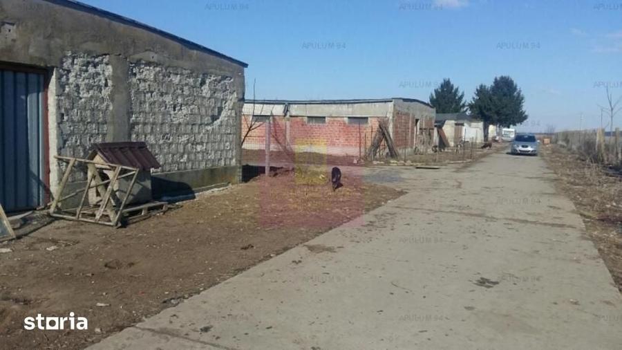 Teren de 15750 mp, în Balotești