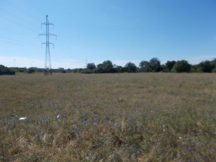 Teren Construcții intravilan de 4990 mp, în Torontalului