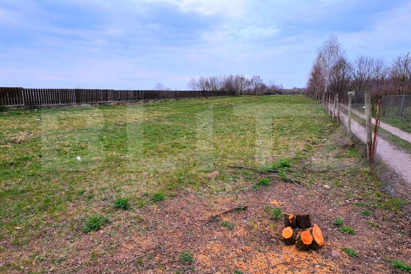 Teren Construcții intravilan de 4418 mp, în Cetate