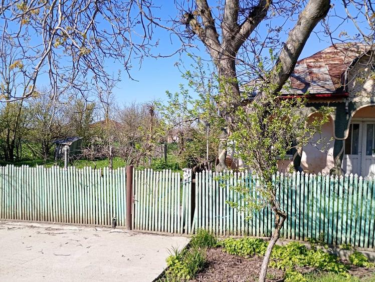 Casă cu 4 camere cu Teren 1500 Mp în Scorțaru Nou
