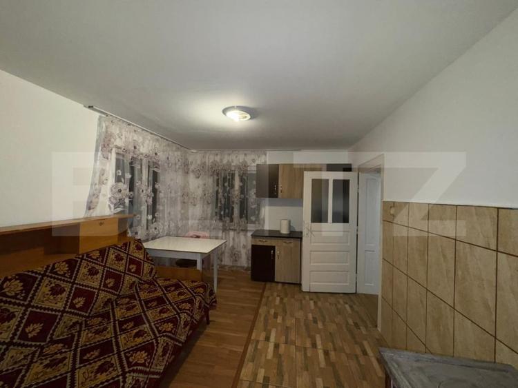 Casă individuală cu 4 camere cu Teren 5594 Mp în Crișcior