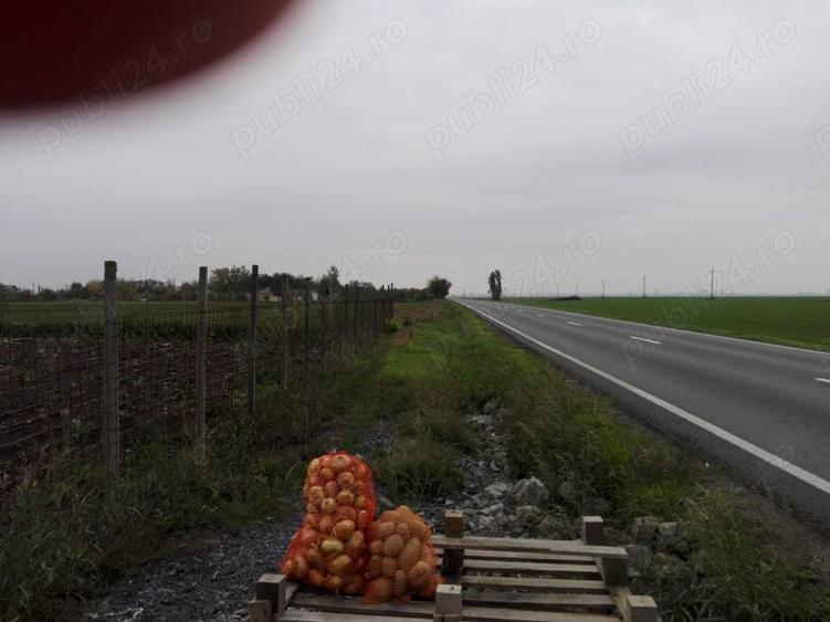 Teren de 5000 mp, în Central