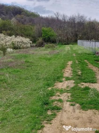 Teren Topoloveni - 3670 mp - langa padure, aproape de Cen... - 4