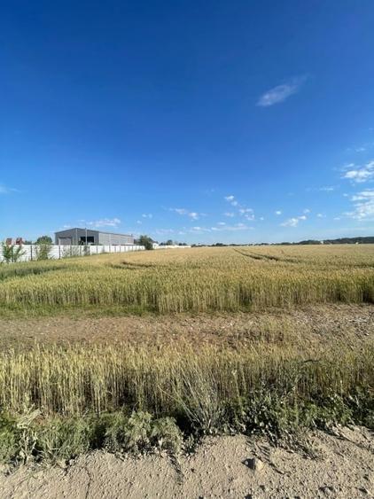 Teren Construcții intravilan de 6750 mp, în Bragadiru