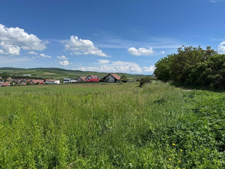 De vanzare - Doua parcele de teren intravilan Sura Mare - 4