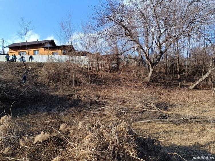 Teren de 4200 mp, în Poiana