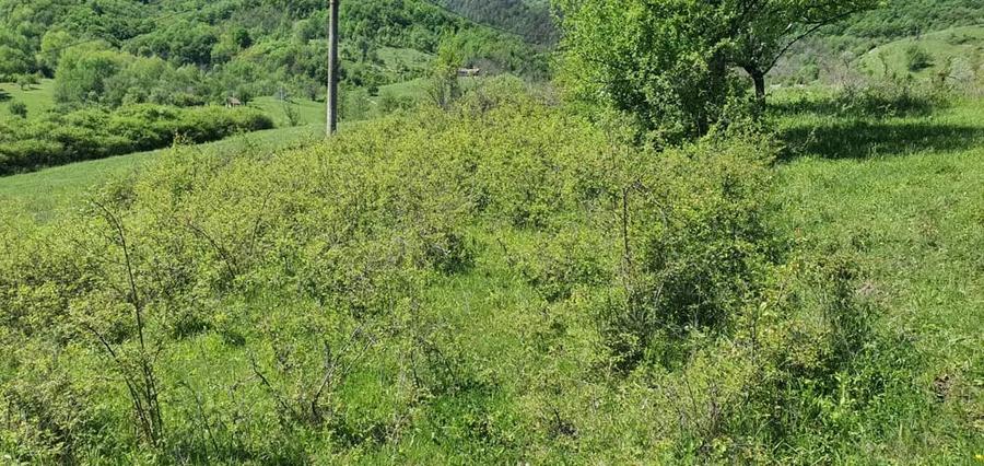Teren de 5850 mp, în Crușovița