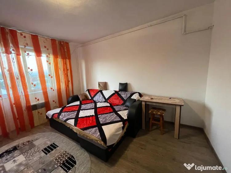 Garsonieră nedecomandată în Lotrului