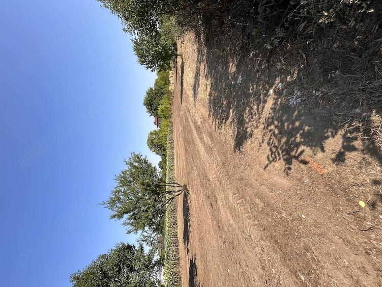 Teren de 630 mp, în Ciofliceni