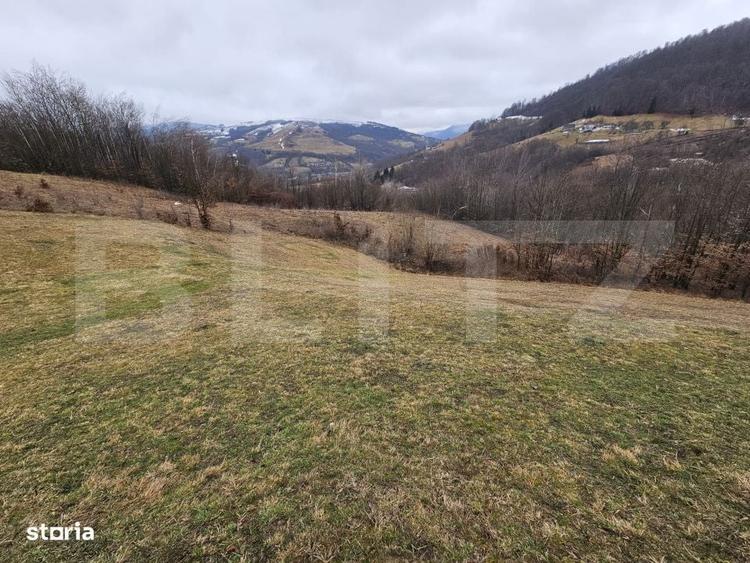 Spațiu comercial, în Abrud-Sat