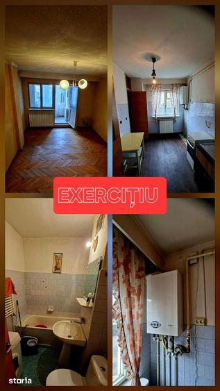 Apartament cu 3 camere decomandat în Banat