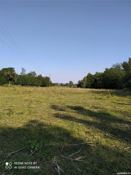 Teren de 12872 mp, în Frâncești