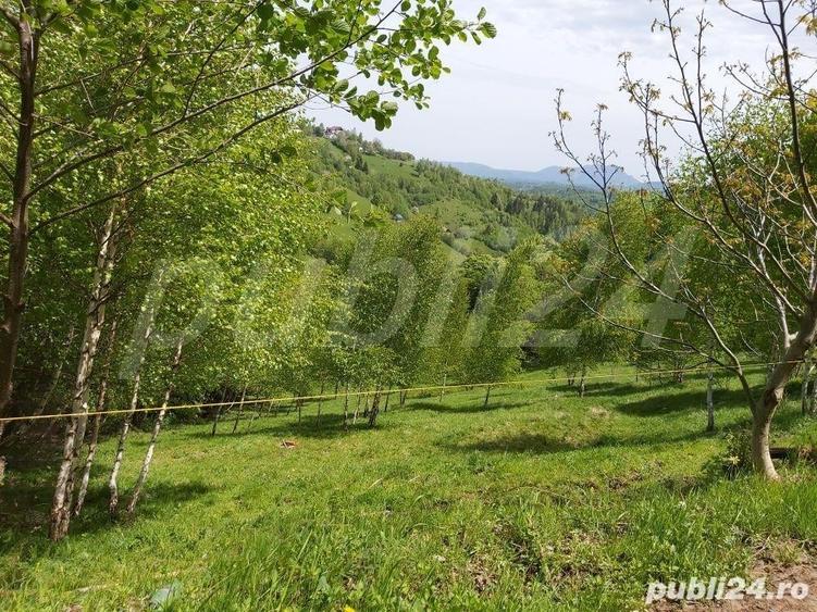 Teren de 2200 mp, în Moieciu