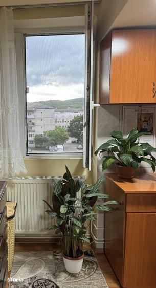 Garsonieră în Central