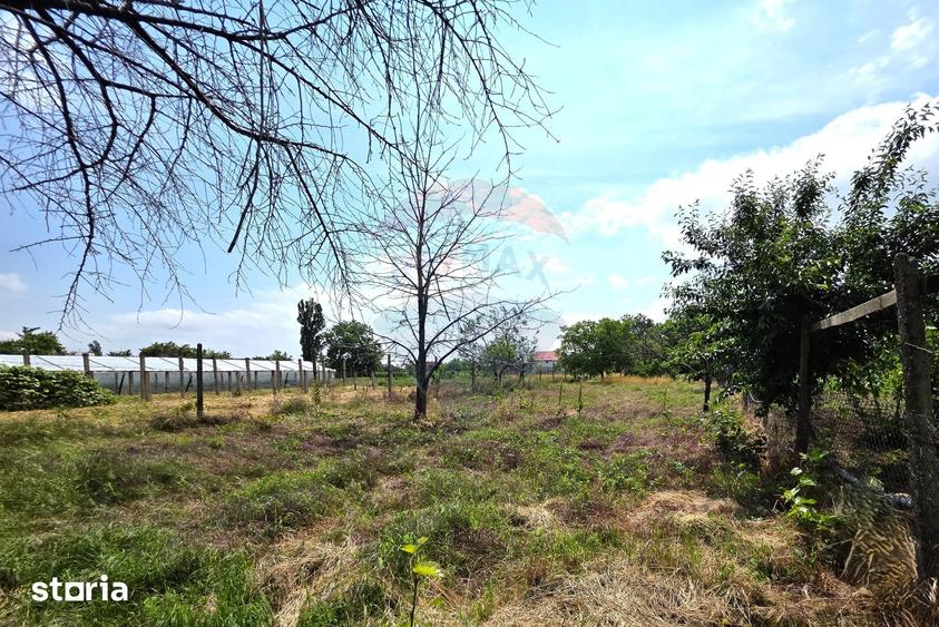 Casă cu 4 camere cu Teren 1254 Mp în Mărăcineni