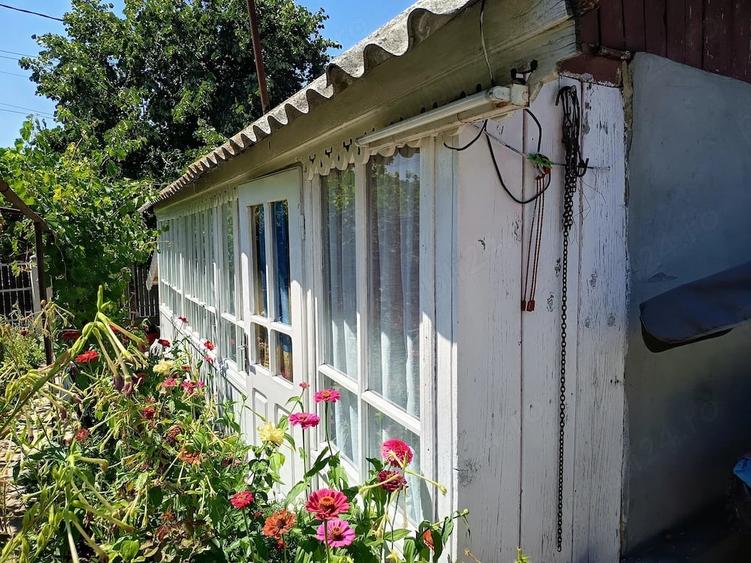 Casă cu 3 camere cu Teren 3116 Mp în Valea lui Darie