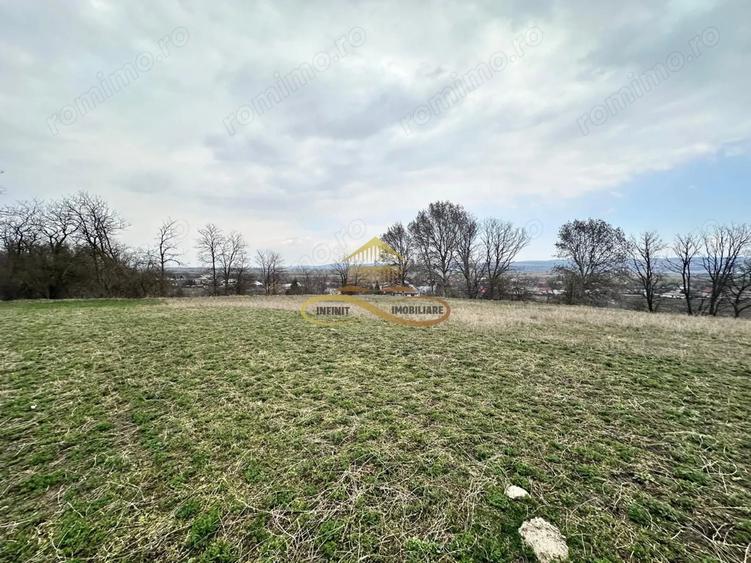 Teren de 11021 mp, în Blăgești
