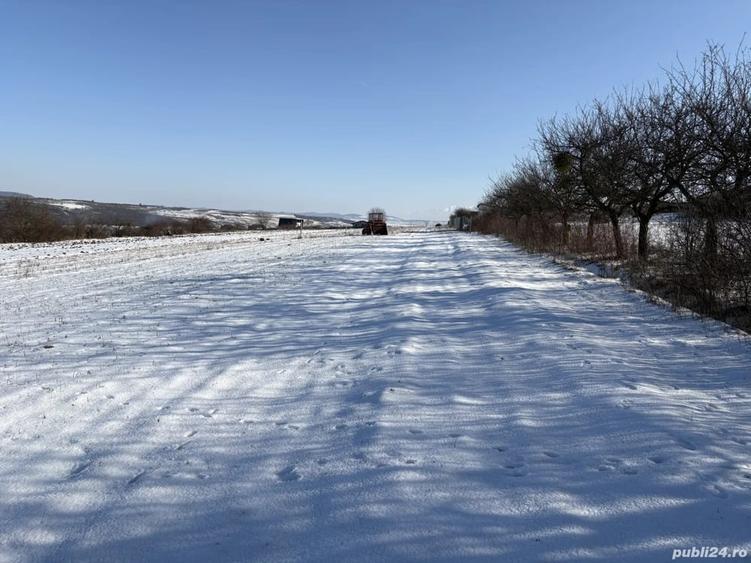 Teren de 550 mp, în Daia