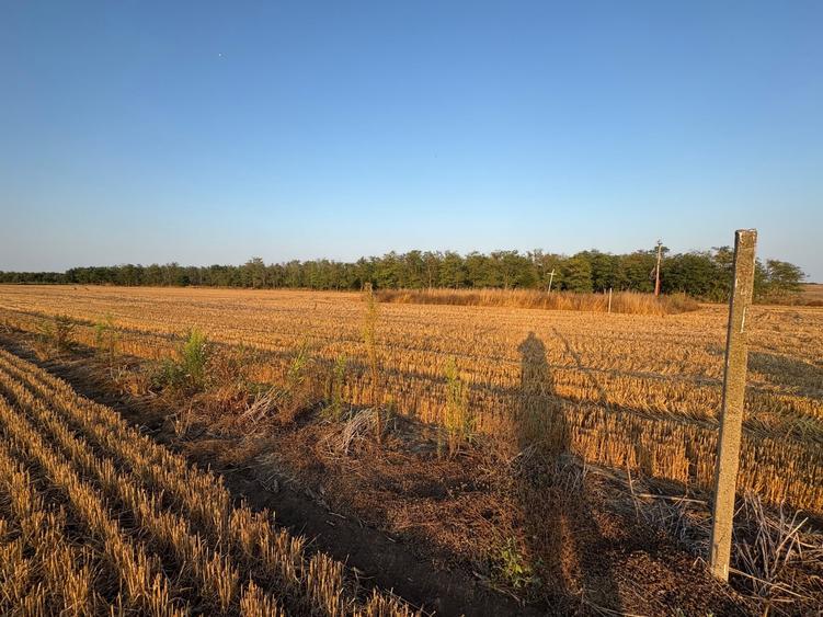 Teren agricol extravilan de 500 mp, în Costinești