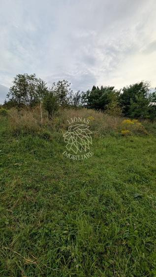 Teren Construcții intravilan de 1180 mp, în Sud