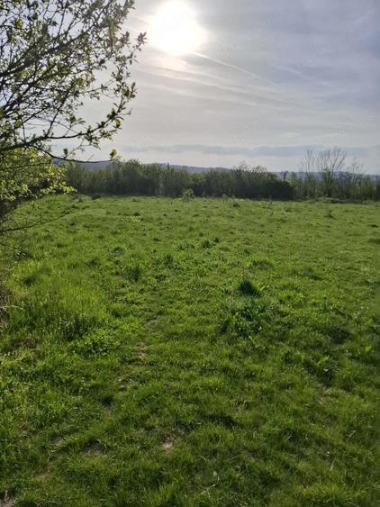 Teren de 2350 mp, în Sacoșu Mare