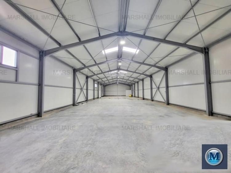 Spațiu industrial, de 600 mp, în Brazii de Sus
