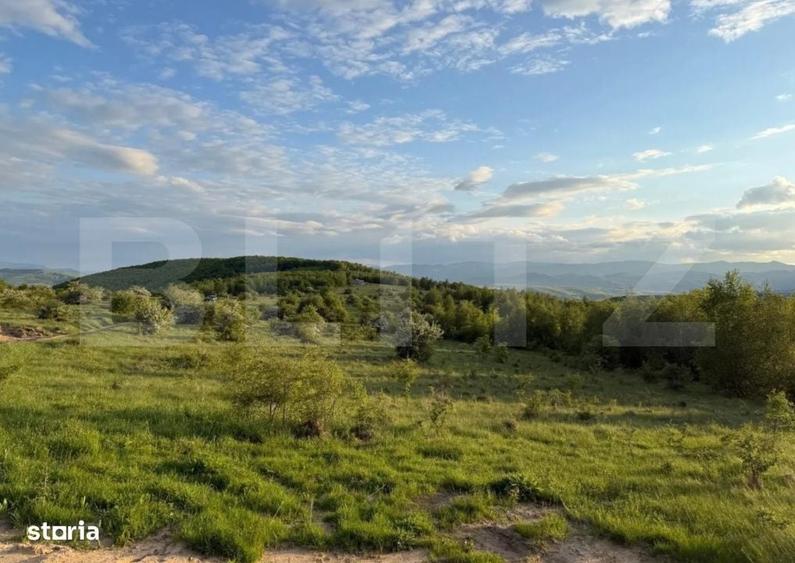 Salicea Hills ! Teren intravilan construibil,1000 mp, zona parc Moara - 4