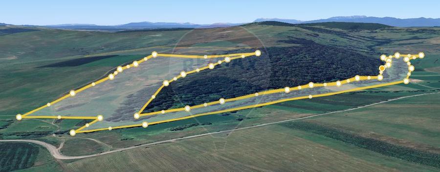 Teren agricol extravilan de 117100 mp, în Jibert