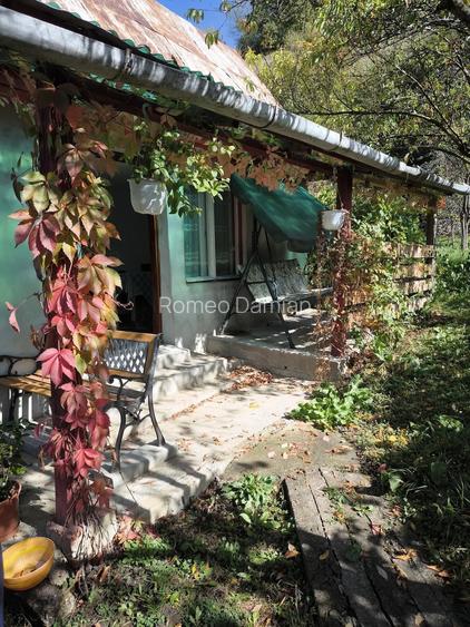 Teren de 4400 mp, în Central