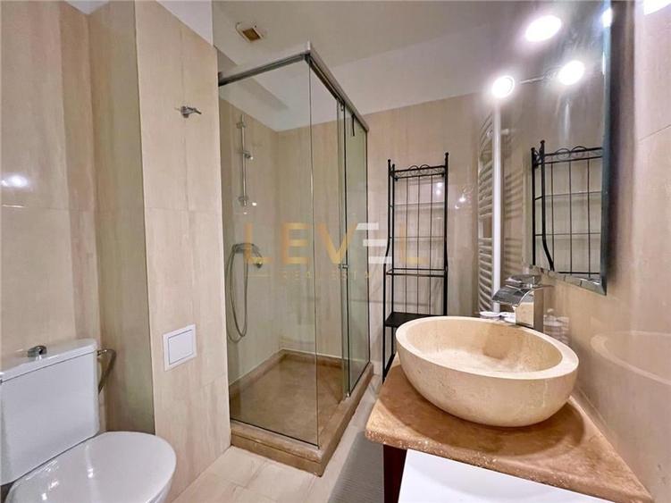 Apartament spatios cu 2 camere de inchiriat - Herastrau - 10