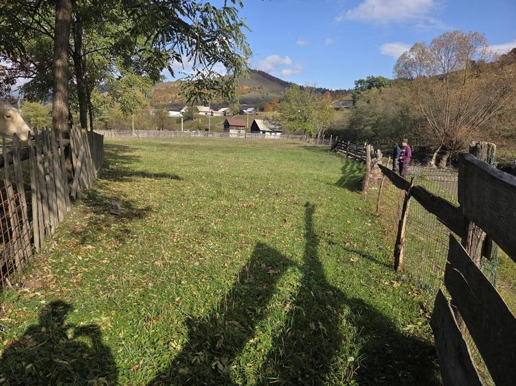 Teren de 2000 mp, în Stulpicani