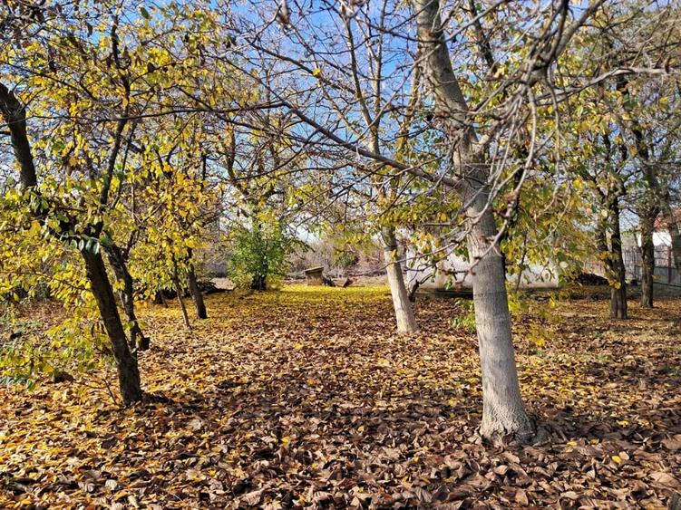Teren de 3068 mp, în Priseaca