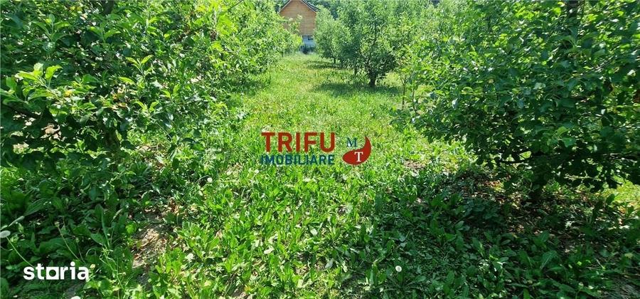 Teren de 582 mp, în Meteș