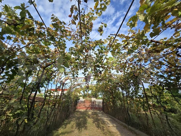 Casă individuală cu 3 camere cu Canalizare în Viișoara