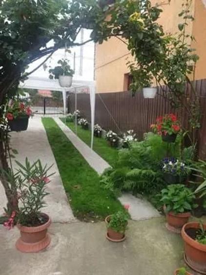 Casă cu 3 camere cu Teren 800 Mp în Dofteana