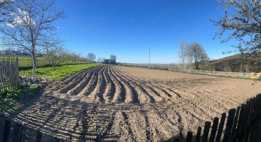 Casă cu Teren 5200 Mp în Pârteștii de Jos