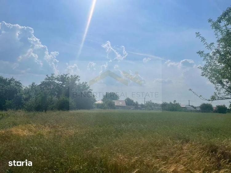 Teren de 954 mp, în Cernica