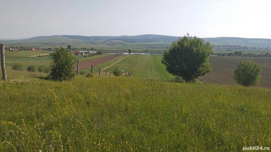 Teren de 18000 mp, în Feldioara