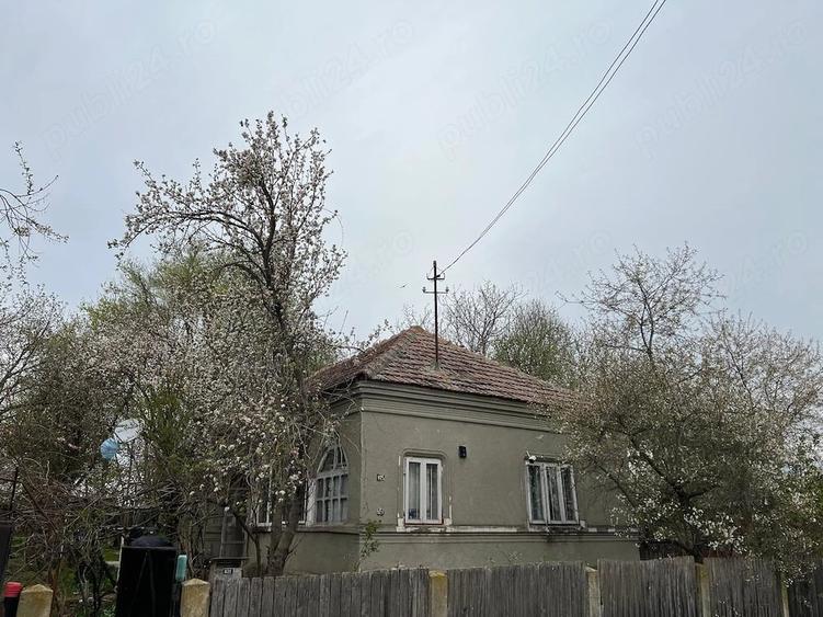 Teren de 2500 mp, în Gângiova
