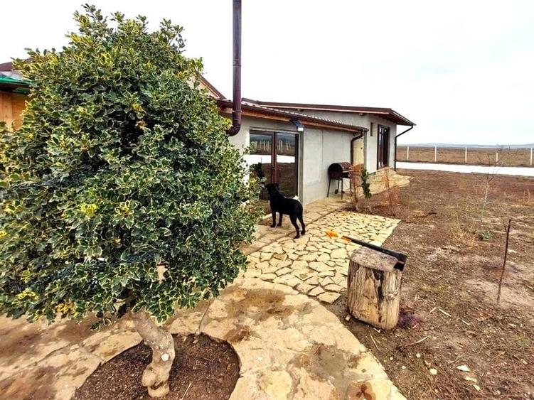 Casă cu 4 camere cu Teren 800 Mp în Kogălniceanu