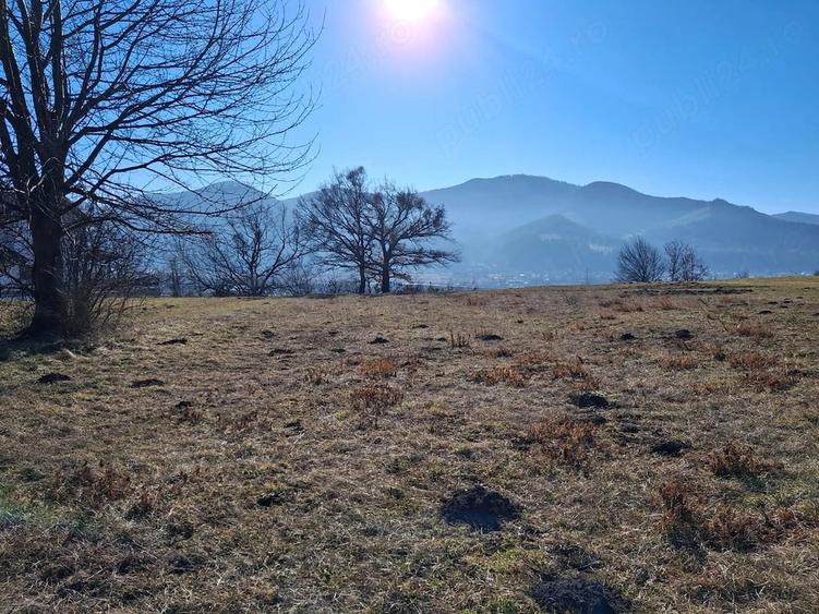 Teren de 1434 mp, în Viișoara