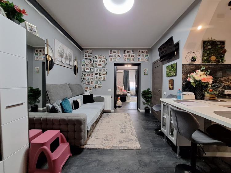Apartament cu 2 camere semidecomandat, mobilat în Take Ionescu