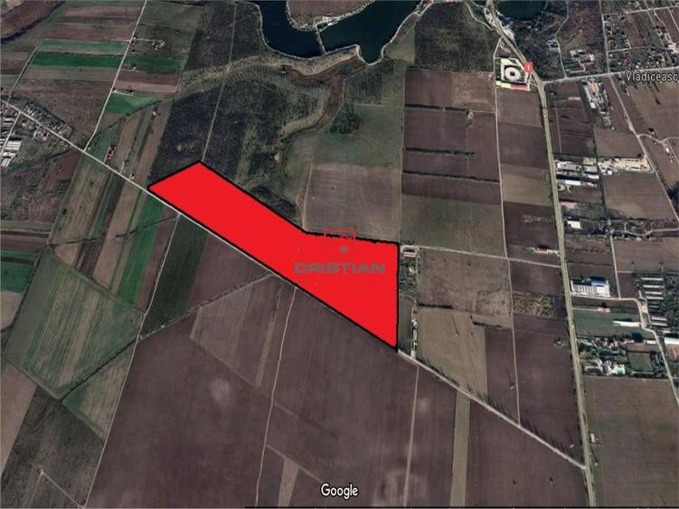 Teren de 400000 mp, în Tâncăbești